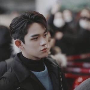 Meet your Posher, Luna